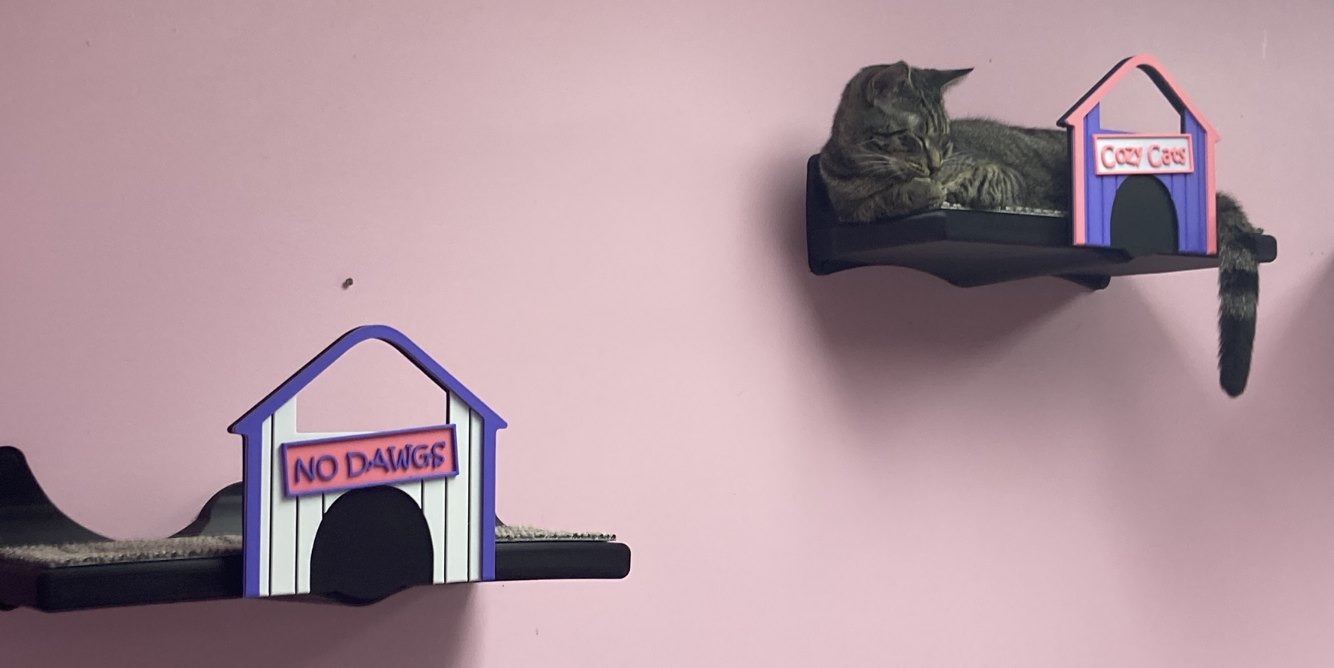 Two NoDawgs cathouses mounted on a cafe wall, one lettered Cozy Cats, with a cat asleep on the platform beside it