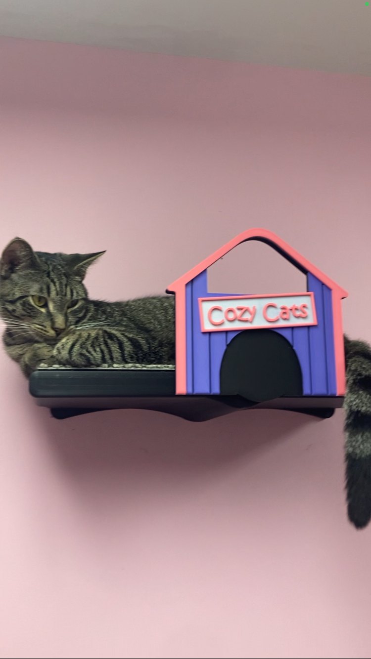 A tabby cat stretched out on a NoDawgs platform beside a cathouse lettered Cozy Cats